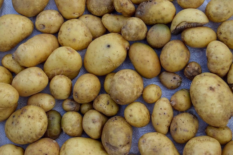 A pile of organic yellow potatoes laid out in a rustic fashion