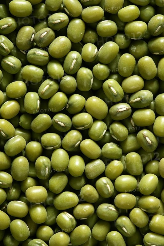 Green soya beans macro texture crop background detail