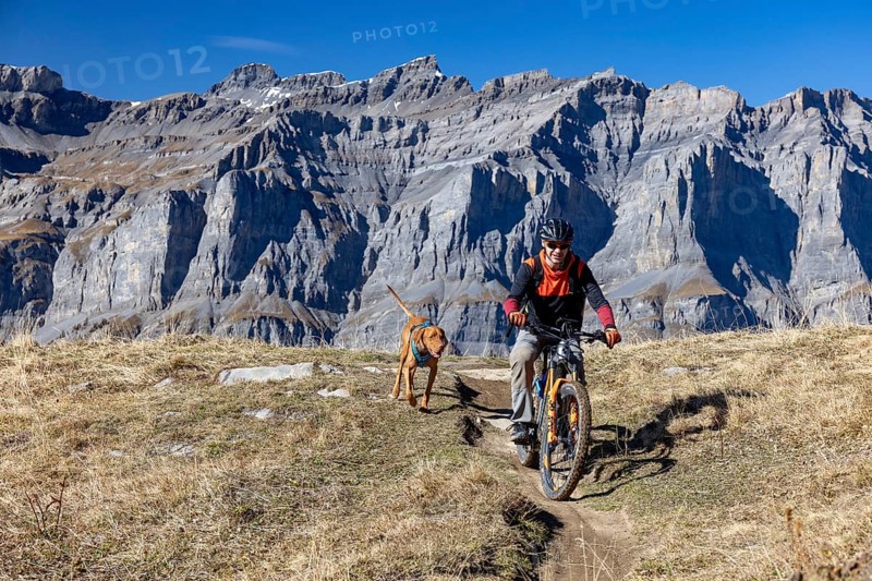 Trail biker and trail dog, Magyar Vizsla, behind Leeshörner, Leukerbad, Valais, Switzerland, Europe