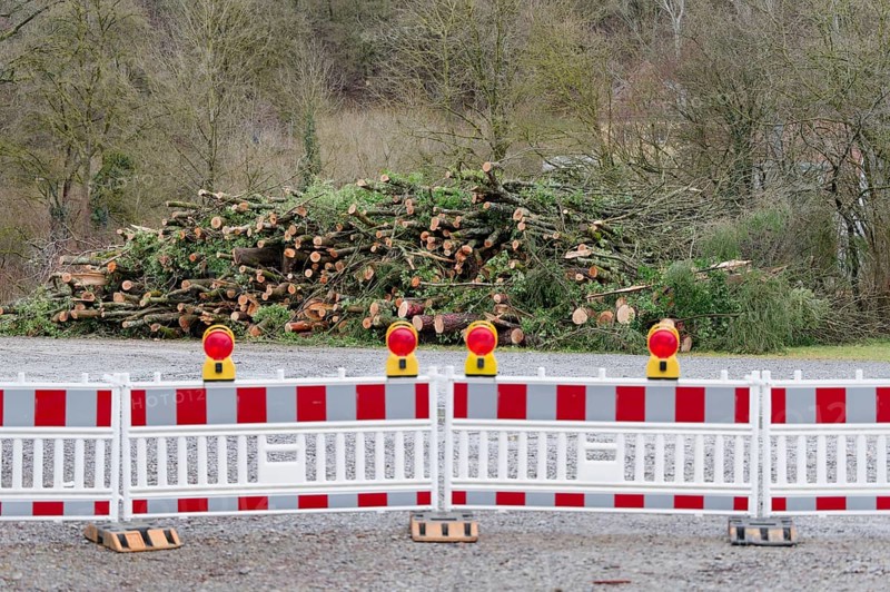 Stacked logs in a storage yard after helicopter transport from a difficult-to-access ravine forest, helicopter, ash dieback, tree disease, disease, ash tree, tree, fungus (Hymenoscyphus pseudoalbidus), fungal infection, fungal disease, road safety obligation, accident risk, accident risk, ash cloud, tree felling work, logging work, Schwäbisch Hall, Germany, Europe
