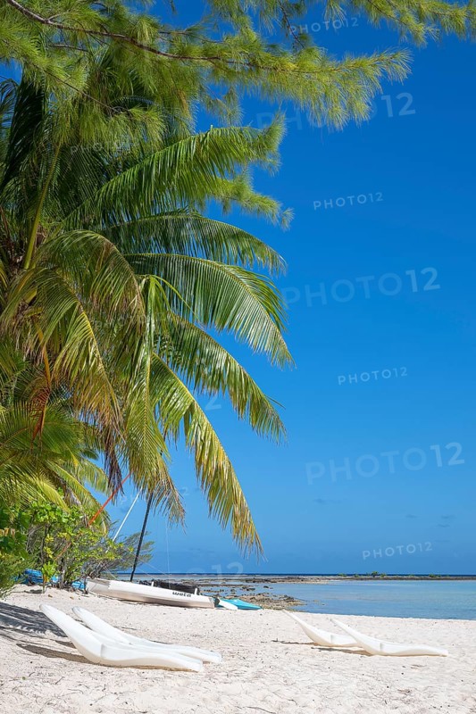 Coconut palm (Cocos nucifera), sunbeds, boats, Tikehau, atoll, Tuamotu archipelago, Tuherahera, Rangiroa, French Polynesia, Oceania