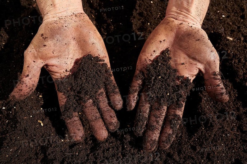 Farmer man hands dirty on substratum of urban garden orchard