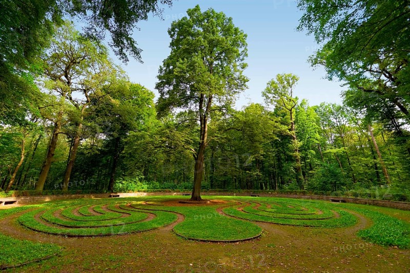 The Wheel Historical Lawn Maze in the Eilenriede of Hanover, Lower Saxony, Germany, Europe