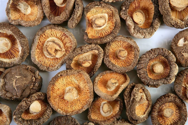 Shiitake dried mushroom vegetarian food
