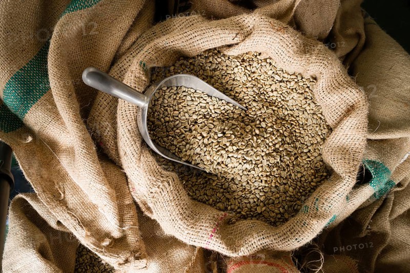 A big metal scoop in the raw coffee seeds sack