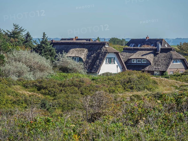 Thatched houses embedded in green vegetation in sunny weather, langeoog, germany