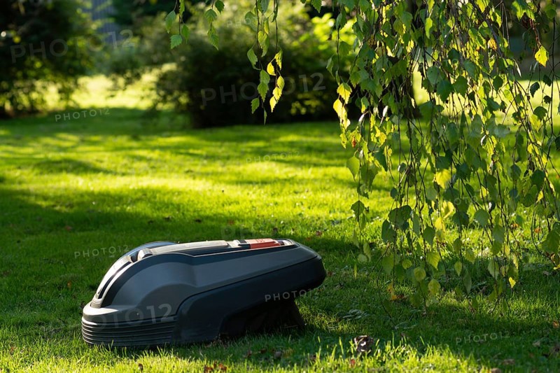 Ein Rasenmähroboter auf einer grünen Wiese im Sonnenlicht in einem Garten mit Bäumen, The mowing robot mows the grass