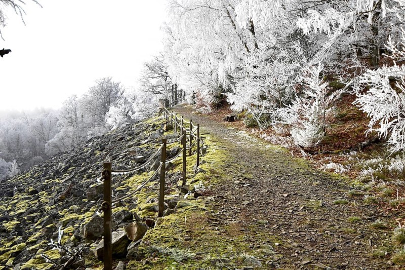 Hiking trail along the Mörschieder Burr in the Hunsrück-Hochwald National Park with hoarfrost and sun, Rhineland-Palatinate, Germany, Europe