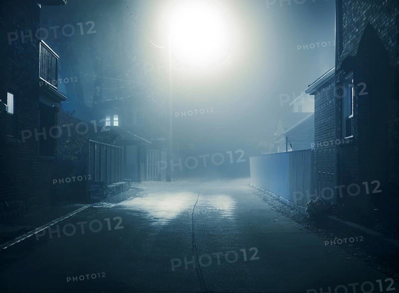 Foggy mysterious nighttime scenery of a small city street lit with a street light