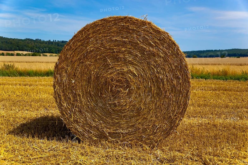 Round bale of straw in a field