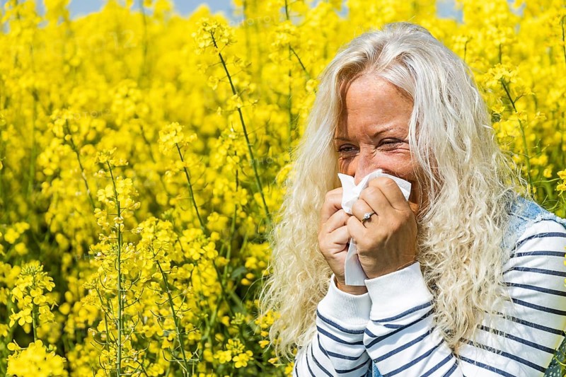 Woman suffers from allergy in a rape field and has to sneeze