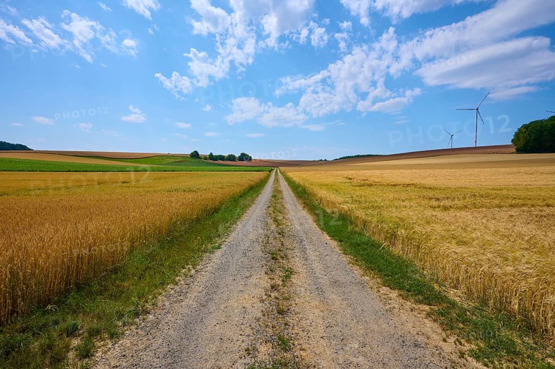 Rural country lane between cornfields with wind turbines and cloudy sky, summer, Retzstadt, Main Spessart district, Bavaria, Germany, Europe