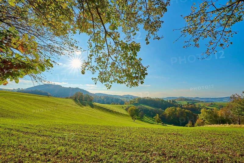 Sunlit hills with green landscapes and trees under a clear sky, Vöckelsbach, Mörlenbach, Bergstrasse district, Odenwald, Hesse, Germany, Europe