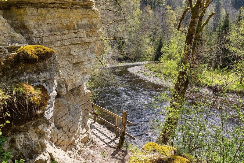 River Wutach in the Wutach Gorge, Black Forest, Baden-Württemberg, Germany, Europe