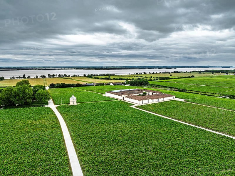 Chateau Latour Vineyard and grape fields around Pauillac from a drone, Bordeaux, Gironde, Nouvelle-Aquitaine, France, Europe