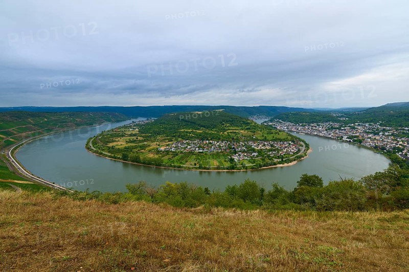 Clear picture of a river bend with neighbouring town and surrounding green hills, summer, Rhine bend Boppard, Gedeonseck, Boppard, Rhine, Rhine-Hunsrück district, Rhineland-Palatinate, Germany, Europe