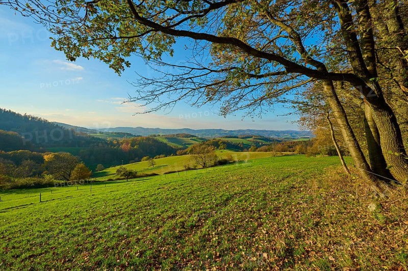 Green hills and meadows stretch out under a blue sky, framed by trees and distant mountains, Vöckelsbach, Mörlenbach, Bergstrasse district, Odenwald, Hesse, Germany, Europe