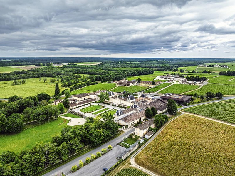 Vineyard of Chateau Beychevelle from a drone, Saint-Julien-Beychevelle, France, Europe