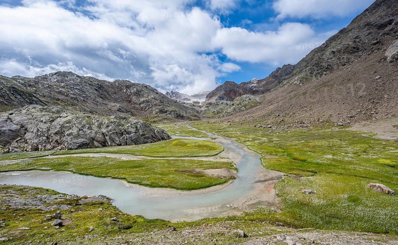 Mountain stream meanders through high mountain landscape on the Upper Senner Egete between meadows full of cotton grass, Seven Lakes Hike, Stubai Alps, near Ridnaun, South Tyrol, Italy, Europe