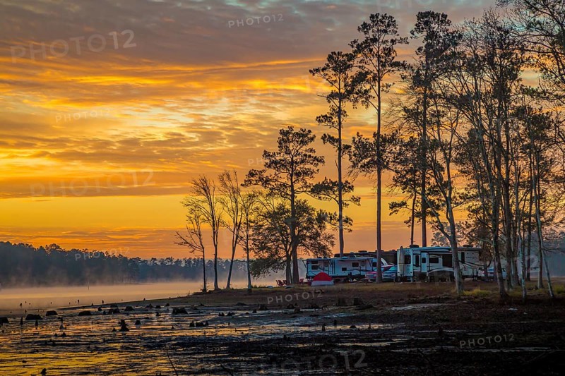 Stumps protrude from low water in Geiger Lake at sunrise in Paul B. Johnson State Park near Hattiesburg, Mississippi, USA, North America