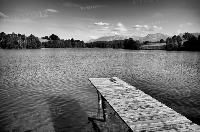 Bathing jetty, jetty, wooden jetty, jetty, leads into a lake, bathing lake, Schwaltenweiher near Seeg, black and white, Ostallgäu, Allgäu, Swabia, Bavaria, Germany, Europe