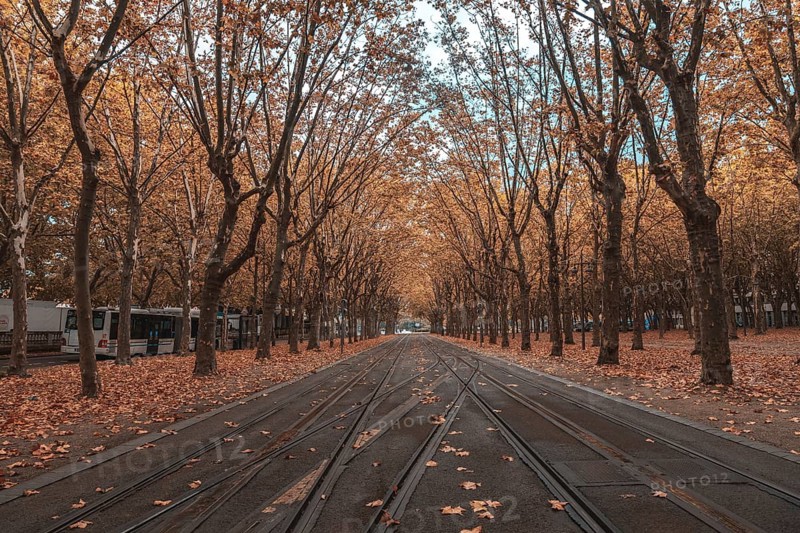 Beautiful autumn foliage covers the ground along tram tracks in bordeaux, france, creating a picturesque urban scene
