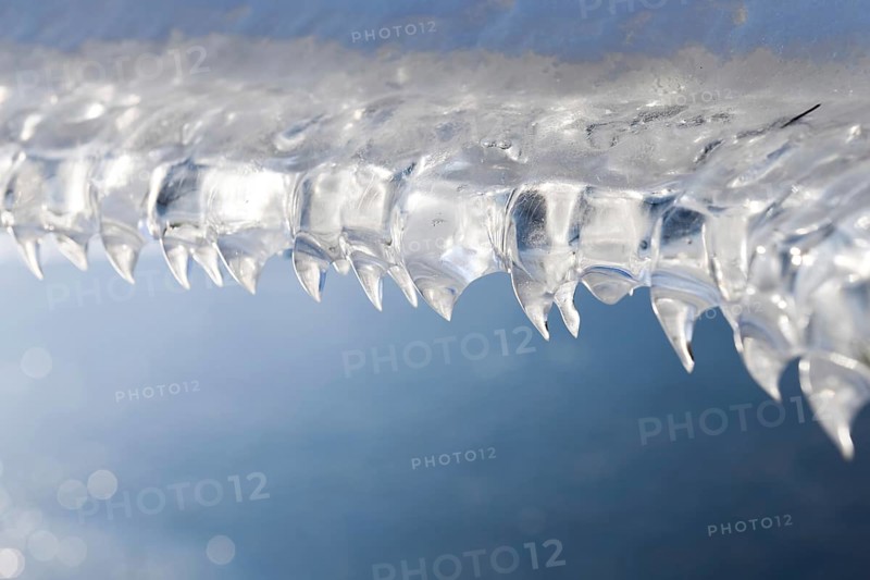 Fangs... Ice formations (winter flood 2020, 2021) formed by wind and water on a fence wire after receding flood waters, Bislicher Insel near Xanten, nationally known nature reserve, Wesel district, Lower Rhine, Rhineland, North Rhine-Westphalia, Germany, Western Europe, Europe
