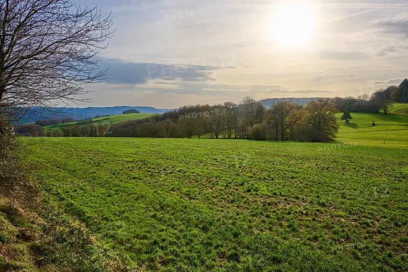 Landscape with green fields, hills and sunlight, Winterkasten, Lindenfels, Bergstrasse district, Odenwald, Hesse, Germany, Europe