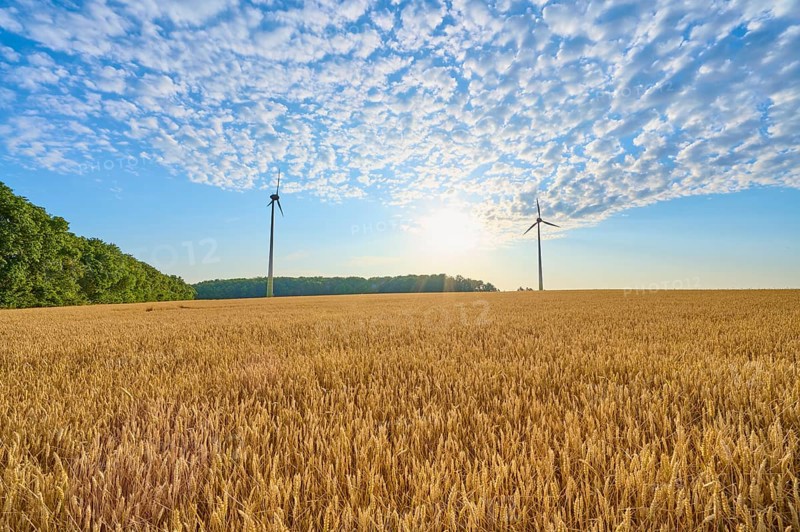 Two wind turbines in a wide field with blue sky and clouds, summer, Höhefeld, Wertheim, Baden-Württemberg, Germany, Europe