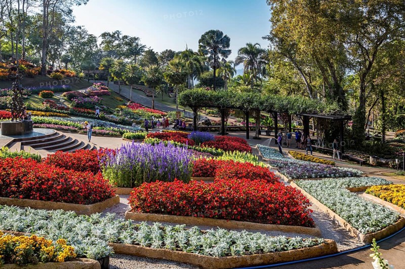 Mae Fah Luang Gardens within the Doi Tung tourist attraction in Chiang Rai, Thailand, Asia