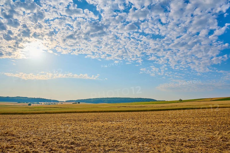 Wide fields under a blue cloudy sky, soft sunlight, summer, Höhefeld, Wertheim, Baden-Württemberg, Germany, Europe