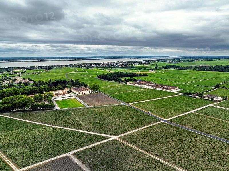 Chateau Pontet-Canet Vineyard and grape fields around Pauillac and Gironde Estuary from a drone, Bordeaux, Gironde, Nouvelle-Aquitaine, France, Europe