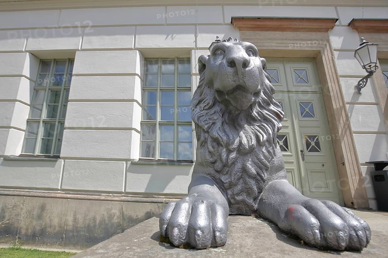 Head of lion figure with paws and entrance to historic lion building, front door, palace, modern art, sculpture, lion head, lion, oversize, university square, university, Halle an der Saale, Saxony-Anhalt, Germany, Europe