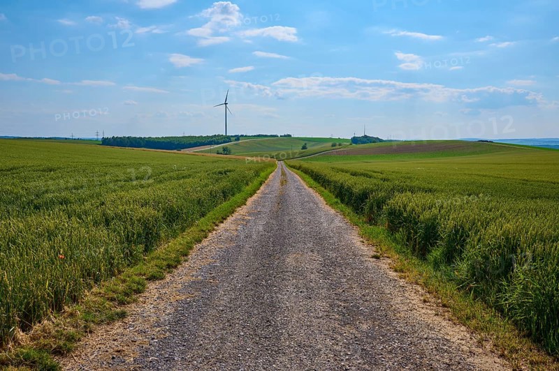 A gravel path leads through green fields with a wind turbine on the horizon under a blue sky, Marktheidenfeld, Bavaria, Germany, Europe