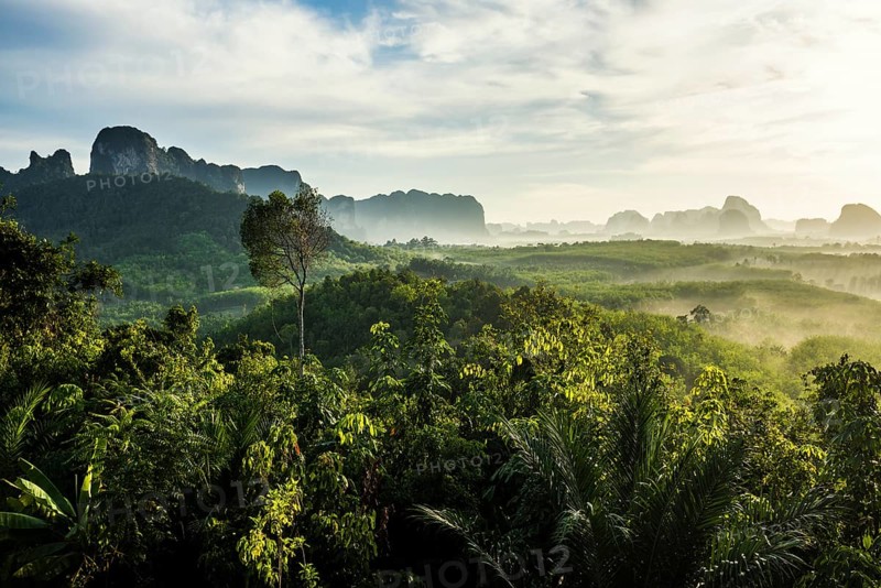 Panorama, Din Daeng Doi, sunrise, Krabi, Thailand, Asia