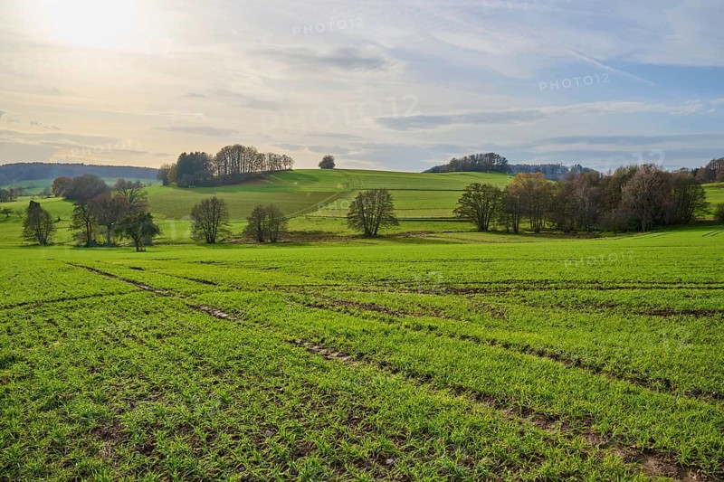 Wide green landscape with trees and hills under a cloudy sky, Winterkasten, Lindenfels, Bergstrasse district, Odenwald, Hesse, Germany, Europe