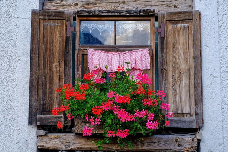 Window with geraniums, in Alleghe, Belluno, Dolomites, Veneto, Italy, Europe