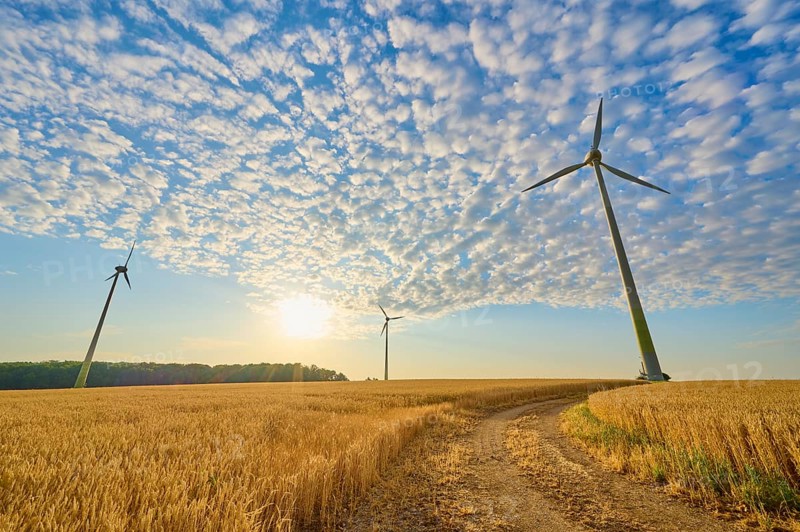 Wind turbines in a wheat field under a blue sky and sunshine, summer, Höhefeld, Wertheim, Baden-Württemberg, Germany, Europe