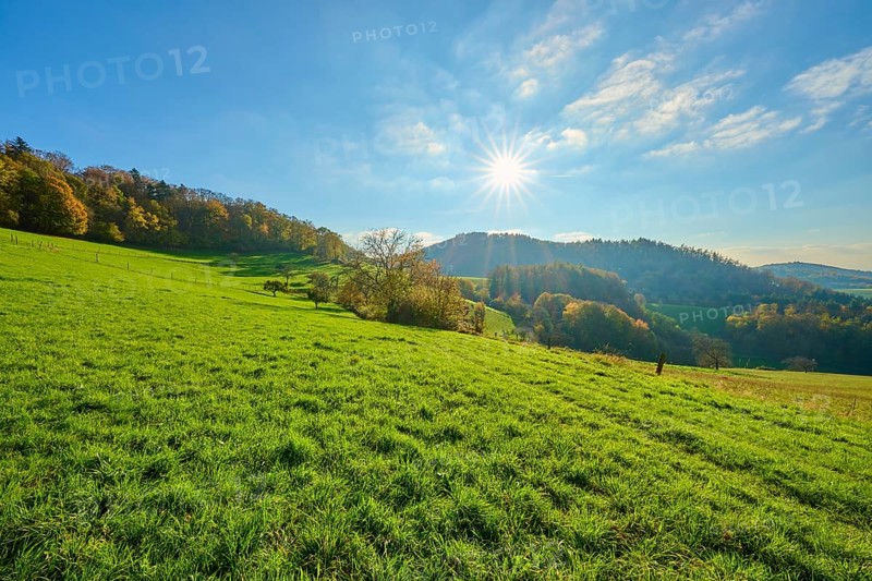 Sunny hills with autumnal vegetation under a bright sky, Vöckelsbach, Mörlenbach, Bergstrasse district, Odenwald, Hesse, Germany, Europe