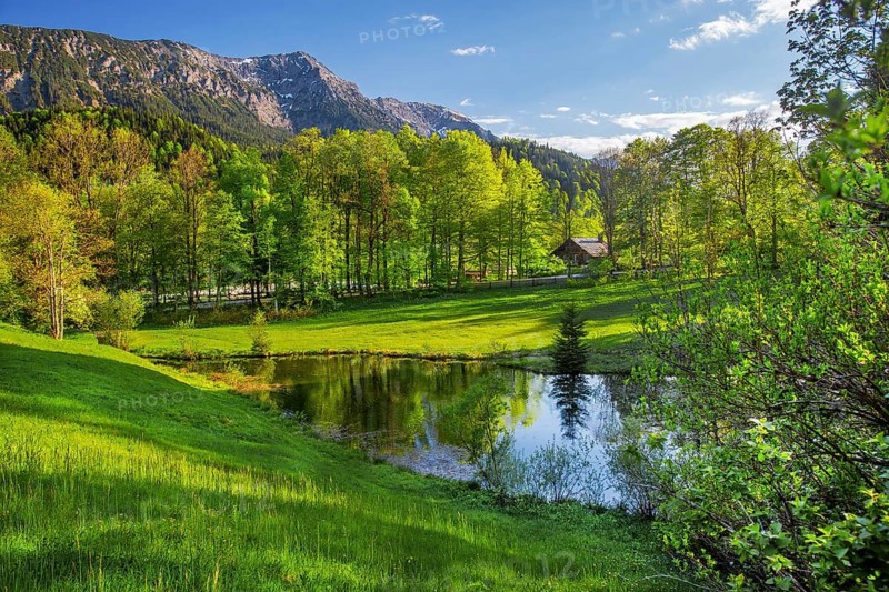 Small pond in the park of Linderhof Castle in spring, municipality of Ettal, Ammergau Alps, Ammertal, Upper Bavaria, Bavaria, Germany, Europe