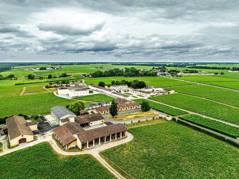 Vineyard of Chateau Branaire-Ducru from a drone, Saint-Julien-Beychevelle, France, Europe