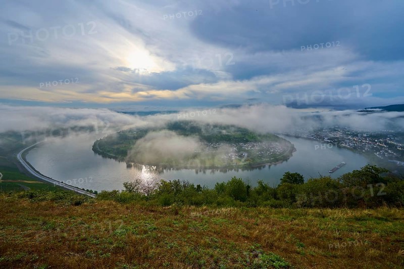 Fog-covered river landscape with rolling hills and overcast sky in calm light, summer, Rhine bend Boppard, Gedeonseck, Boppard, Rhine, Rhine-Hunsrück district, Rhineland-Palatinate, Germany, Europe