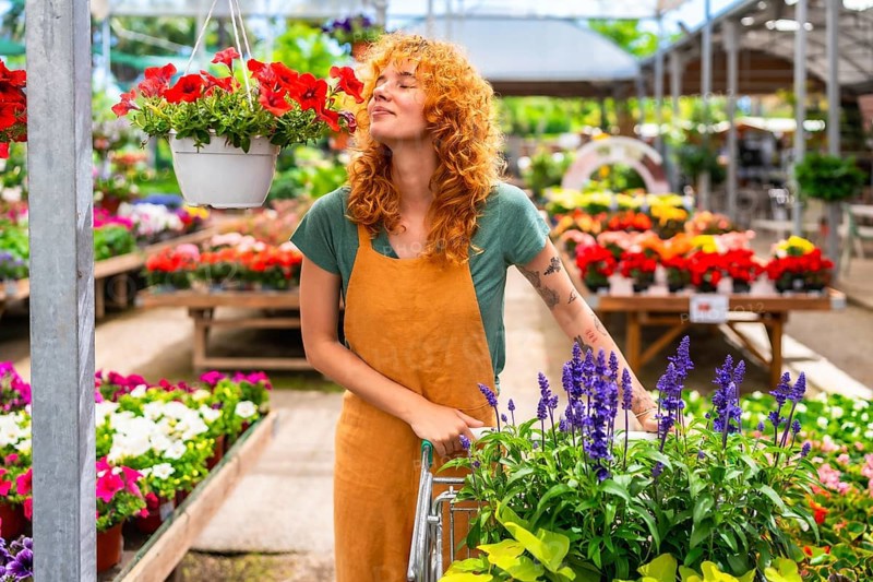Redhead woman gardener smelling red petunias while pushing a cart in a colorful greenhouse full of flowers