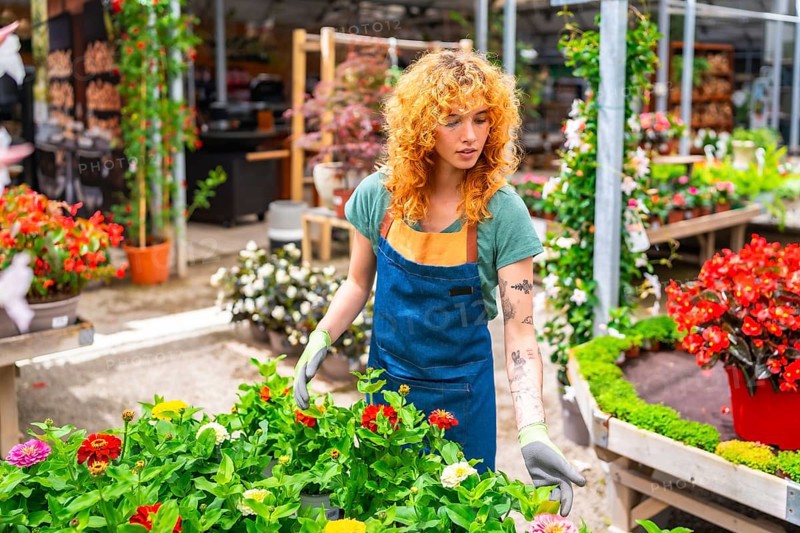 Female gardener arranging colorful flowers in a garden center, taking care of plants and creating beautiful displays