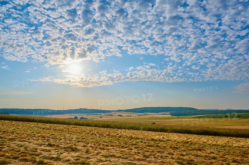 Wide fields under a slightly cloudy sky with the sun on the horizon, summer, Höhefeld, Wertheim, Baden-Württemberg, Germany, Europe