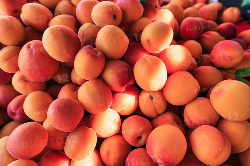 Fresh apricots (Prunus armeniaca) at a market stall, Mulhouse, Alsace, Mulhouse, Alsace, France, Europe