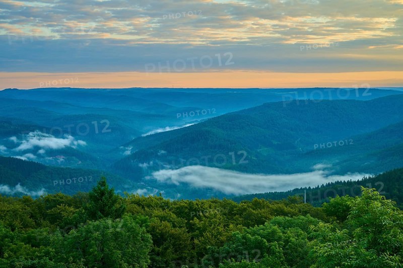 Green hills with forest at sunrise, fog in the valleys and peaceful sky, Katzenbuckel, Waldbrunn, Neckar-Odenwald-Kreis, Odenwald, Baden-Württemberg, Germany, Europe