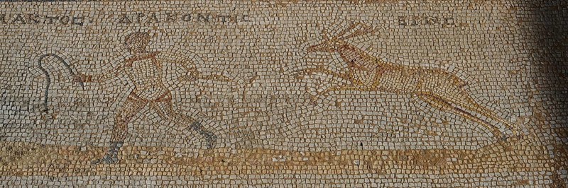 Ancient mosaic with a hunting scene of a man and a gazelle, Archaeological Site, Western Excavation, Kos Town, Kos, Dodecanese, Greek Islands, Greece, Europe
