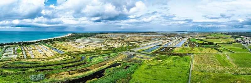 Panorama of The Lilleau des Niges National Nature Reserve from a drone, The salt marshes, Saint-Clement-des-Baleines, Atlantic, France, Europe