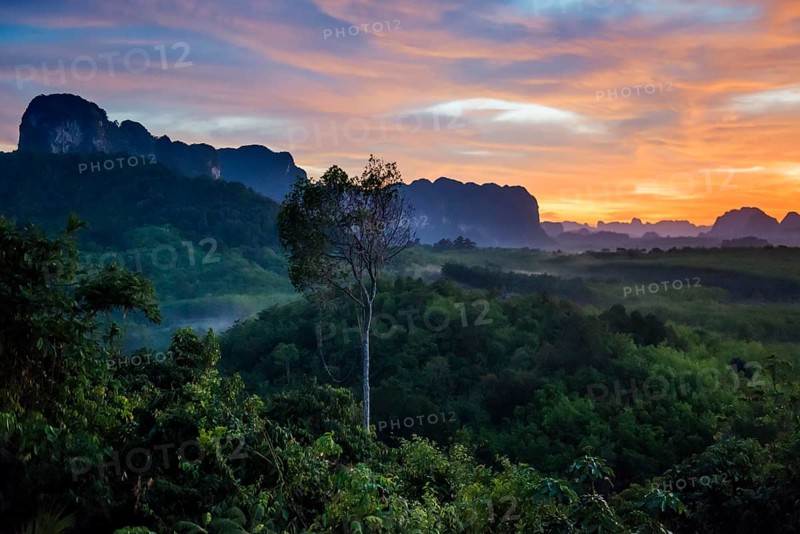 Panorama, Din Daeng Doi, sunrise, Krabi, Thailand, Asia